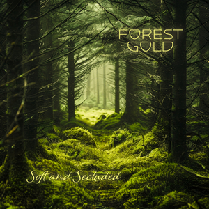 高压水枪冲阴道惩罚文章
