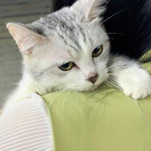 高压水枪冲阴道惩罚文章
